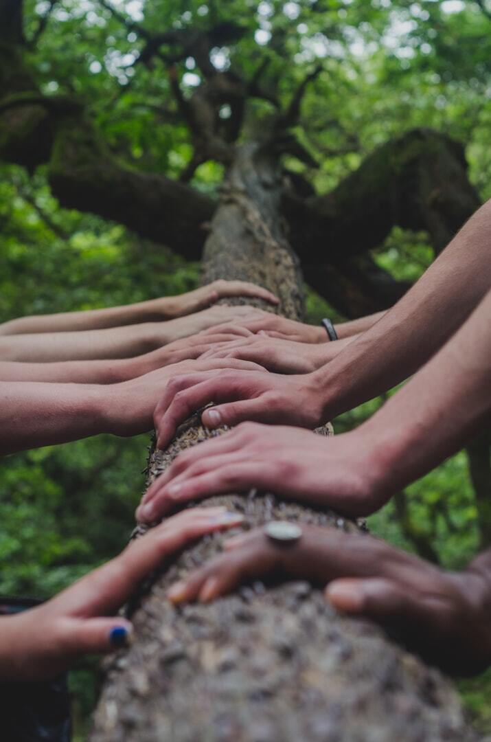 Varias manos apoyadas sobre el tronco de un árbol